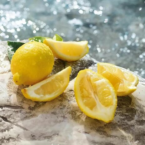 Herenparfum D&G LIGHT BLUE POUR HOMME EDT 200 ml 8