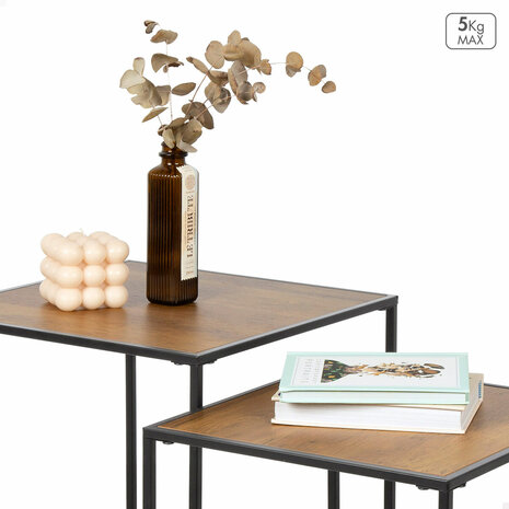 Kapstok Max Home Ijzer Hout MDF (2 Stuks) 3