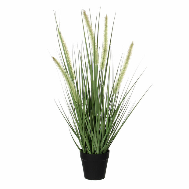 Decoratieve plant Mica Decorations Dogtail PVC 1