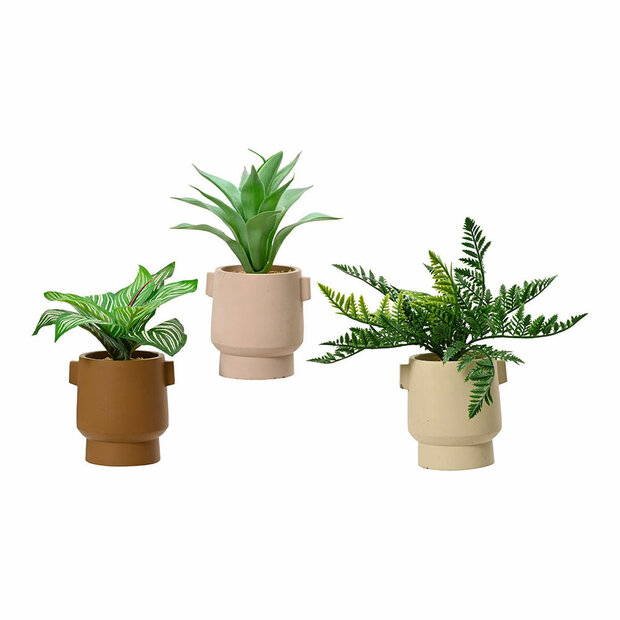 Decoratieve plant EDM 808559 25 cm Bloempot 1