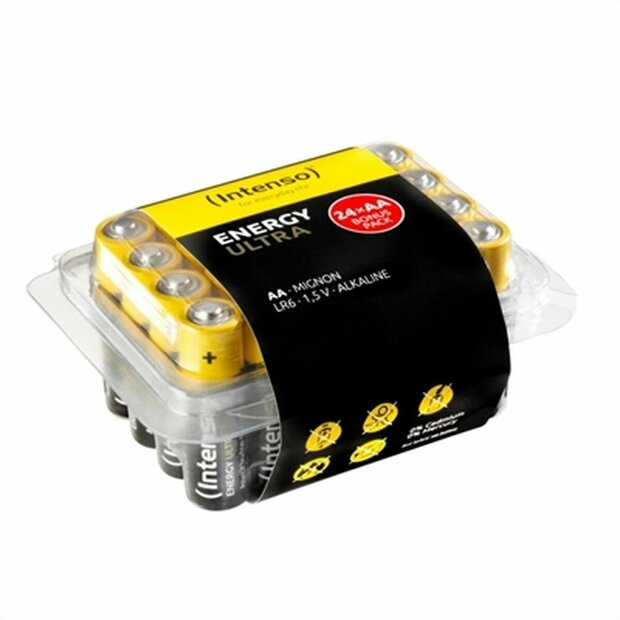 Batterijen INTENSO 7501824 1