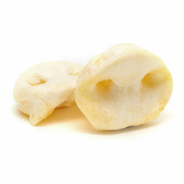 Hondensnoepjes Gloria Display Light 20 Stuks Varken 1