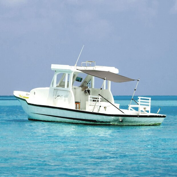 Schaduwdoek T-top 170x208x(115-183) cm antracietkleurig 1