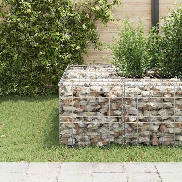 Gabion plantenbak verhoogd kubus 50x50x50 cm staaldraad 1