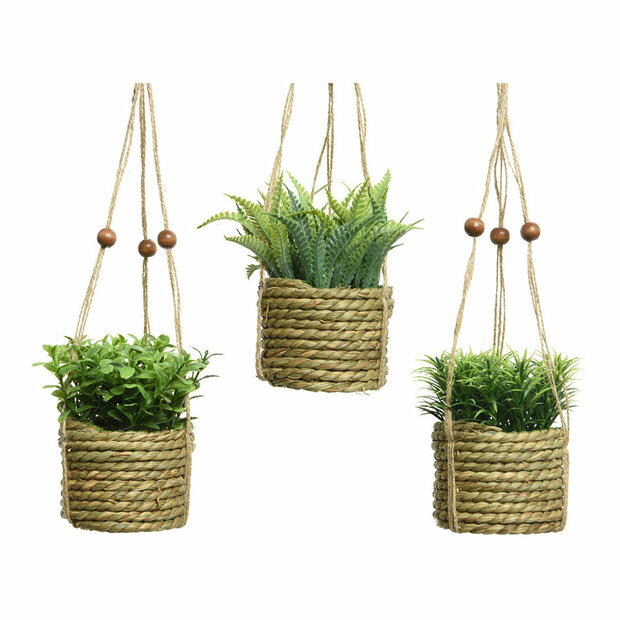 Decoratieve plant Everlands 8 x 12 cm Hanger Touw Groen PVC 1