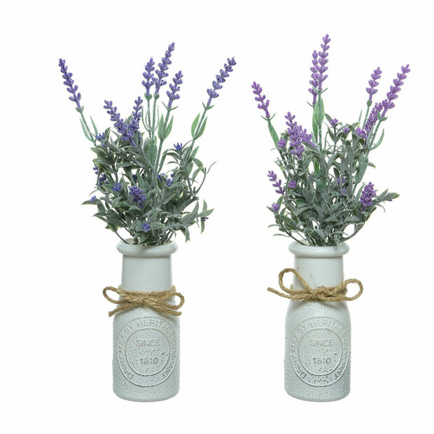 Decoratieve plant Everlands Bloempot Lavendel (&Oslash; 13 x 32 cm) 1