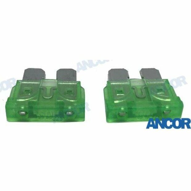 AM604030 - ATC 30 AMP ZEKERINGEN (2 1