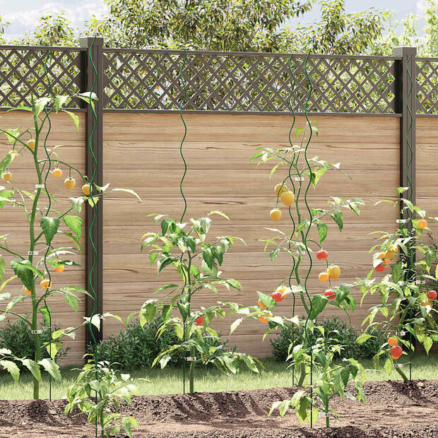 Spiraalvormige plantensteunen 5 pcs Groen 170 cm 1