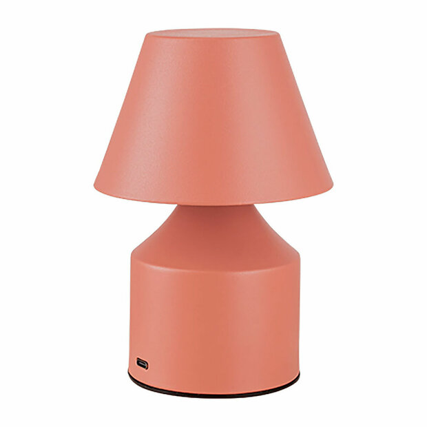 Bureaulamp Fbright Roze 2 W 1