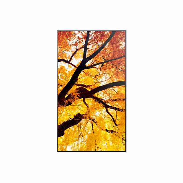 Videowall Monitor Sharp 60006053 4K Ultra HD 42,5&quot; 1