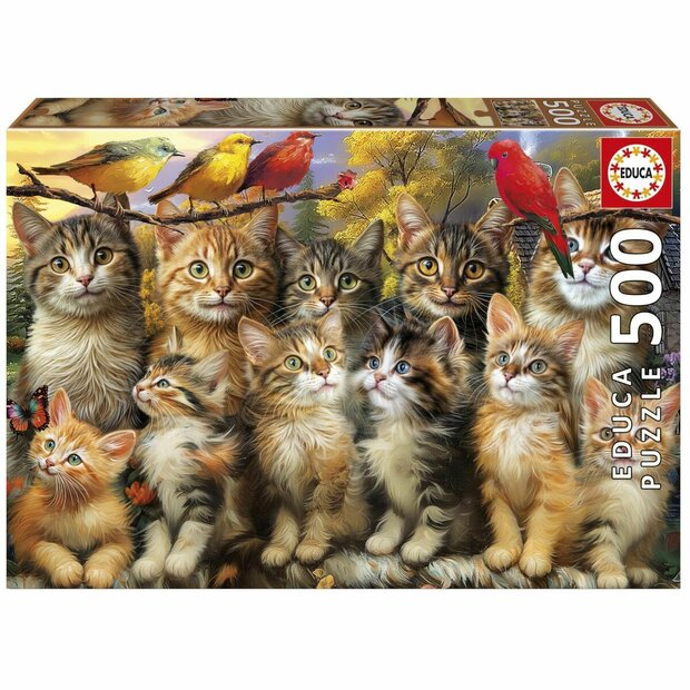 Puzzel Educa Gatitos y P&aacute;jaros 500 Onderdelen 1
